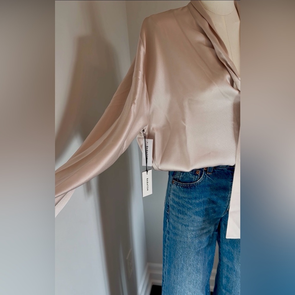 NWT Aritzia Babaton Bloomsbury Blouse